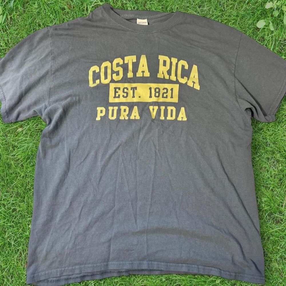 Gildan Men's Grey and Blue T-shirt